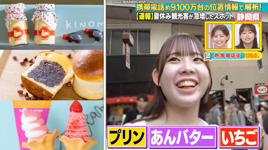 日本テレビ「日本ダ・ダ・ダ大移動」